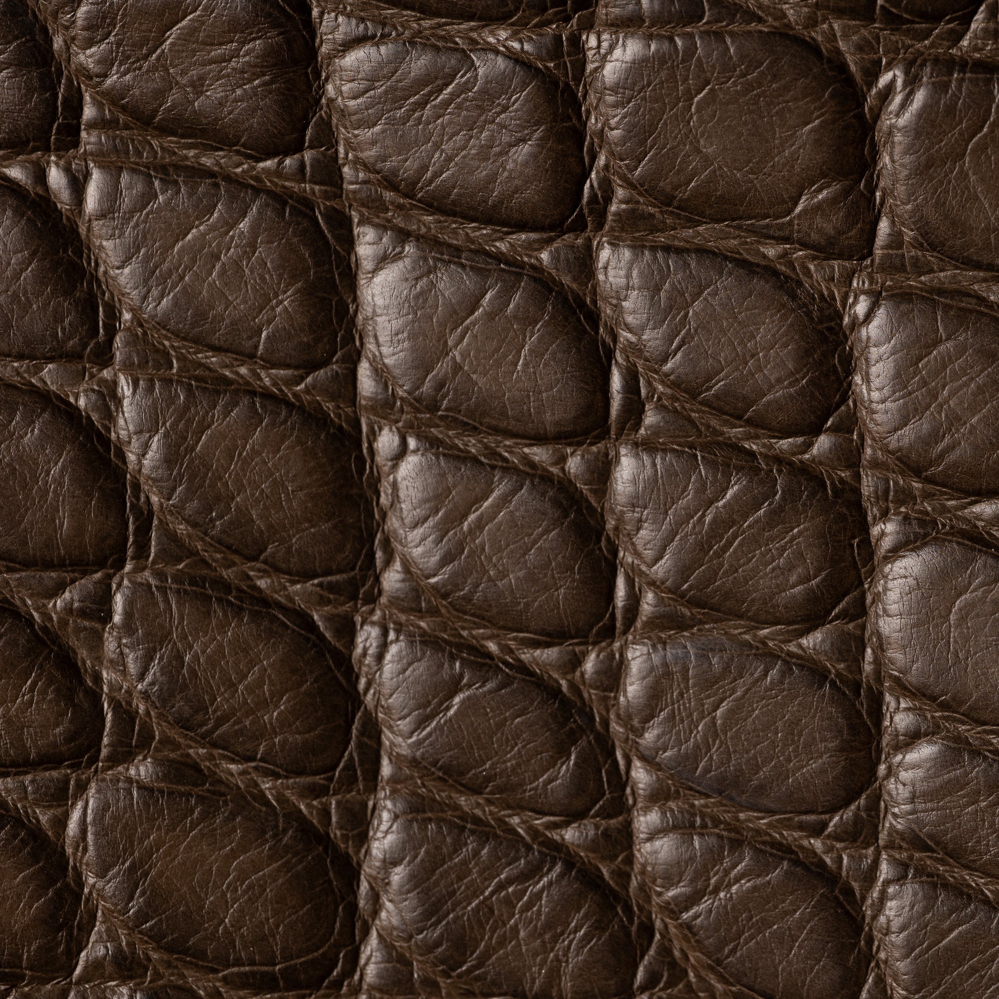 The Alligator Zipper Pouch: Olive