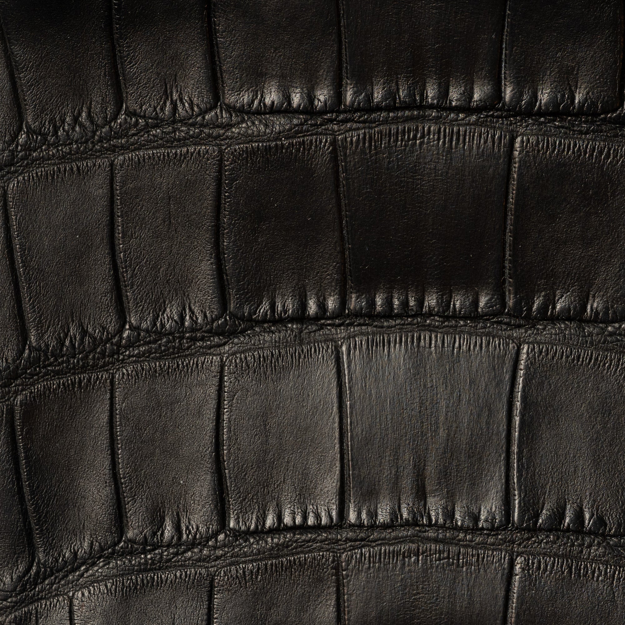 The Alligator Zipper Pouch: Black