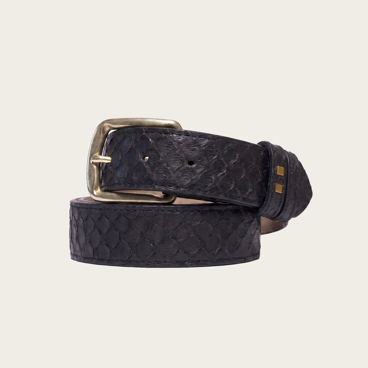 Savas Woodmont Belt in black Burmese python leather, coiled to show scale pattern, antique brass buckle and Two Dots rivets