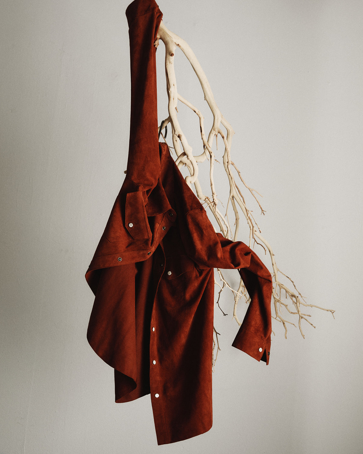 Brown shirt draped over a branch against a plain background