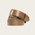 Savas Woodmont Belt in Seed calf leather, coiled to show 1.25-inch strap, antique brass buckle and Two Dots rivets